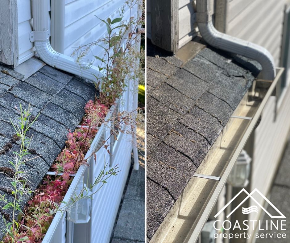 An Experienced Technician Cleaning Gutters