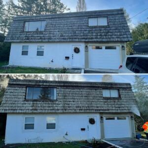 Roof Cleaning