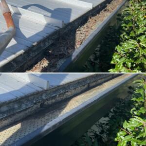 Gutter cleaning