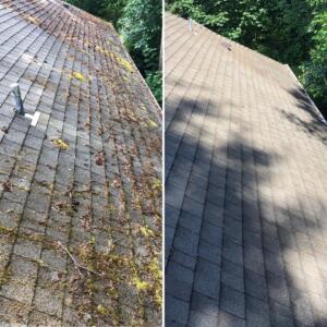 Roof cleaning