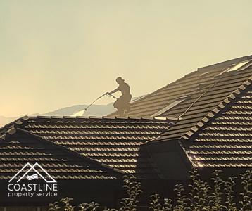 Roof Cleaning